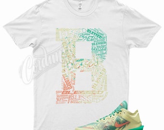 nike lebron tee