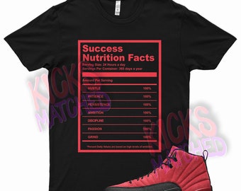 Black " SUCCESS FACTS " T Shirt to match Jordan 12 Reverse Flu Game by Kicks Matched