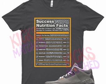 Kicks Matched T-shirt gris « SUCCESS » pour Jordan 3 Cool Grey
