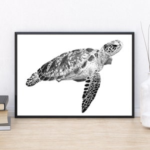 Green Sea Turtle Drawing A5/A4 Ocean Artwork - Nature - Wildlife Illustration