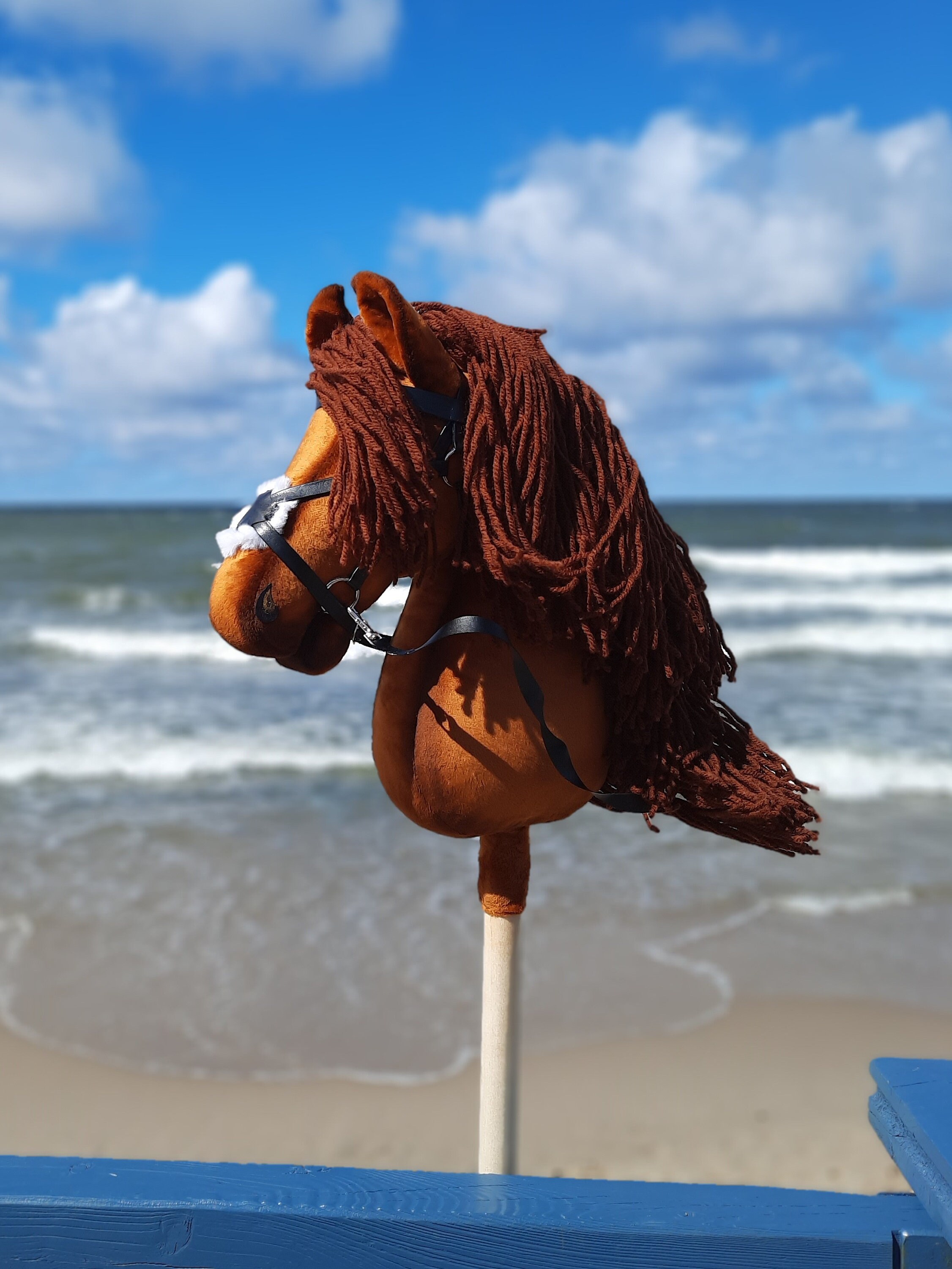 Hobby horse for horseback riding dressage and show jumping. Etsy