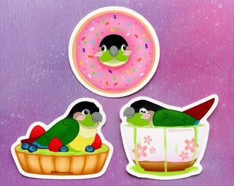 3" Matcha the Conure Stickers | Cute Bird Lover Gift, UV Resistant Waterproof Decals