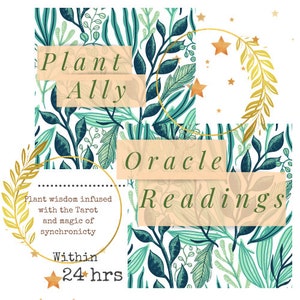 1 Card Plant Ally Oracle Reading