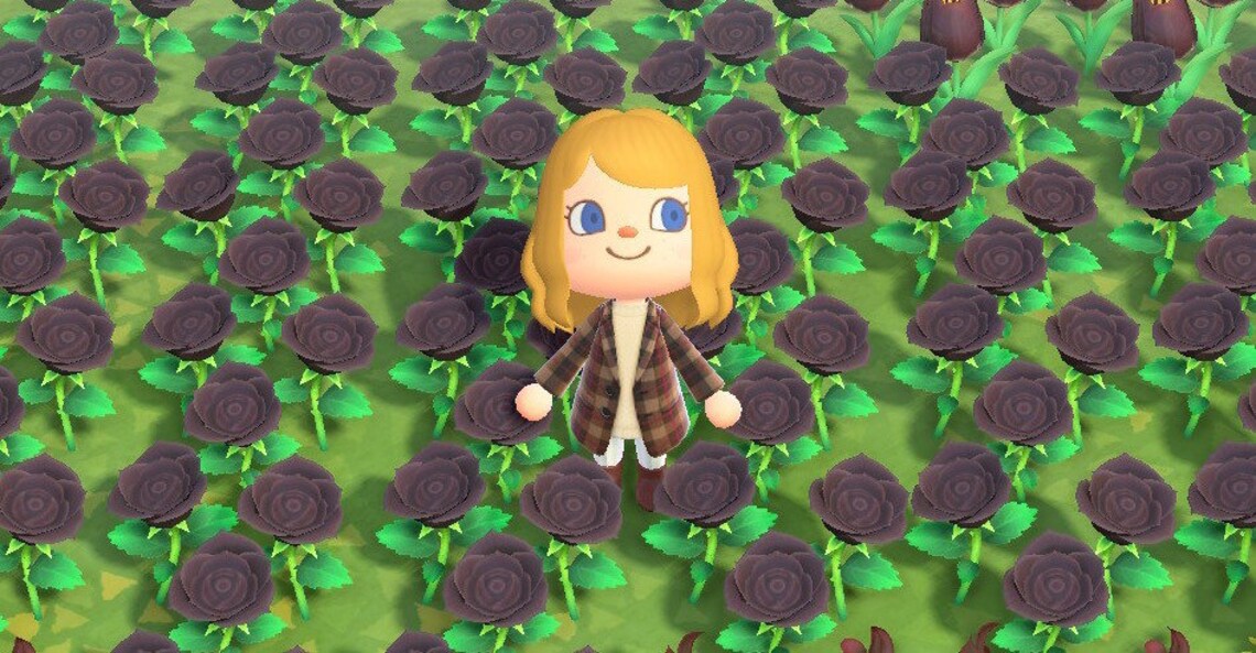Black Roses Animal Crossing New Horizons ACNH Etsy