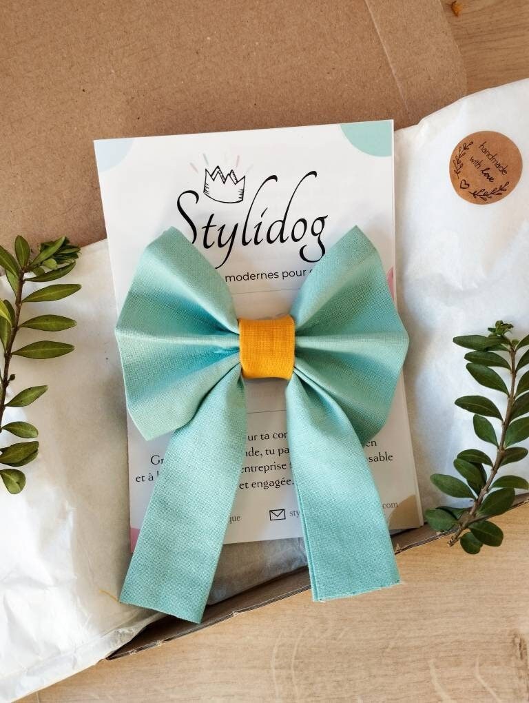 Noeud Papillon Chien Fait Main/Accessoire Noeud Chat Noeud Vert Pastel/ Chien