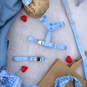 Può includere: Una collezione di accessori per animali domestici con motivo a quadretti vichy blu e bianco. Il set include un'imbracatura, un collare, un guinzaglio, un papillon, una bandana e una piccola borsa. Gli accessori sono disposti con un cestino di vimini, tessuto denim e fragole rosse.