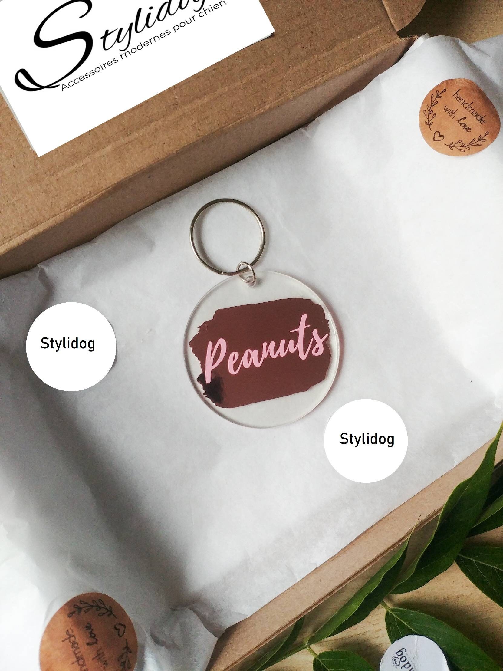 Médaillon Pour Chien/Médaillon Personnalisable Médaille d'identité Collier Chien