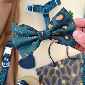 Peut inclure: Un nœud papillon teal avec un imprimé léopard et des accents botaniques est tenu dans une main. D'autres accessoires pour animaux de compagnie avec des motifs assortis sont visibles, notamment un collier, un harnais et un sac. Les accessoires ont un fond teal avec des taches marron et orange.