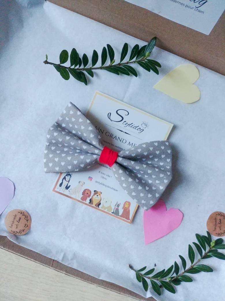 Noeud Papillon Chien Fait Main/Accessoire Noeud Coton Noeud Saint Valentin Chat Chien