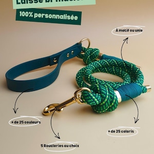 Customizable dog leash / dog gift / personalized / leash / cat / walk