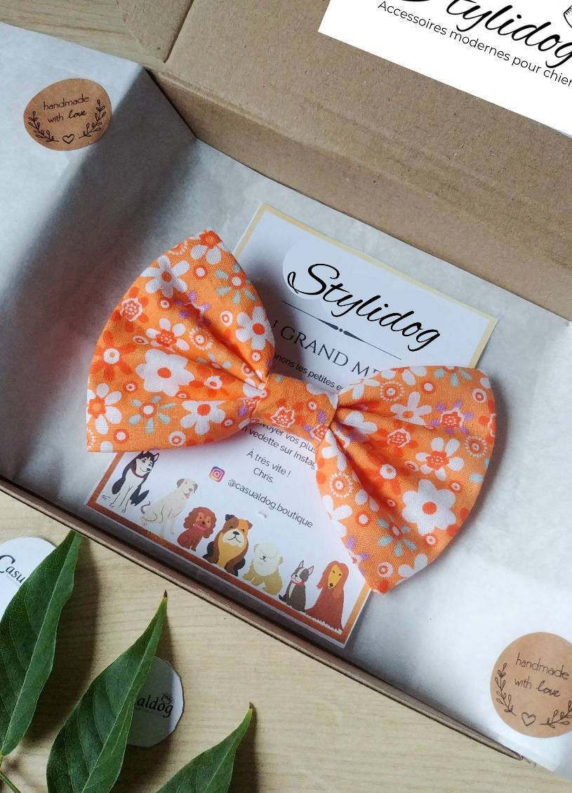 Noeud Papillon Chien/Accessoire Noeud Coton Noeud Orange Chat