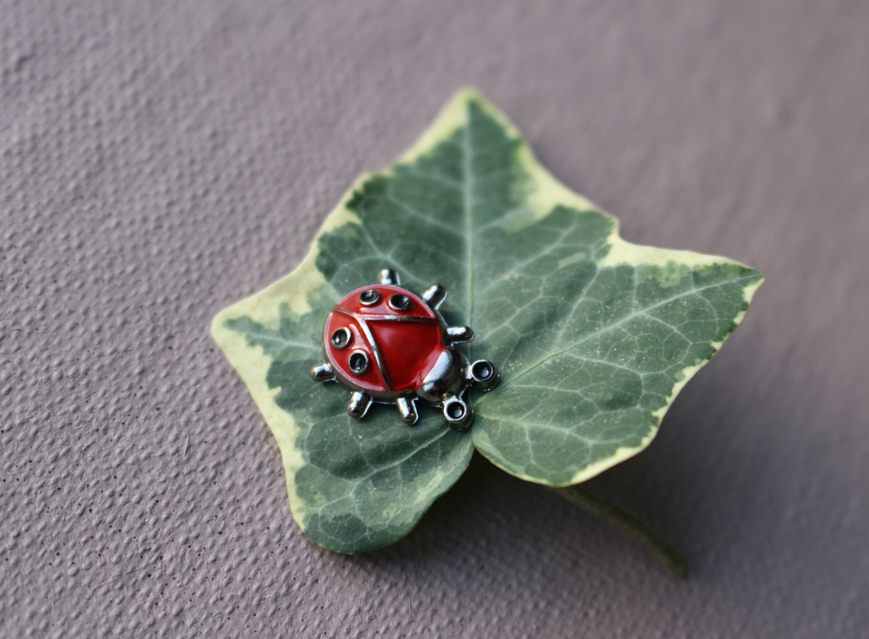 Ladybug Badge Pin Red Enamel Brooch New Jewelry Gift for Etsy