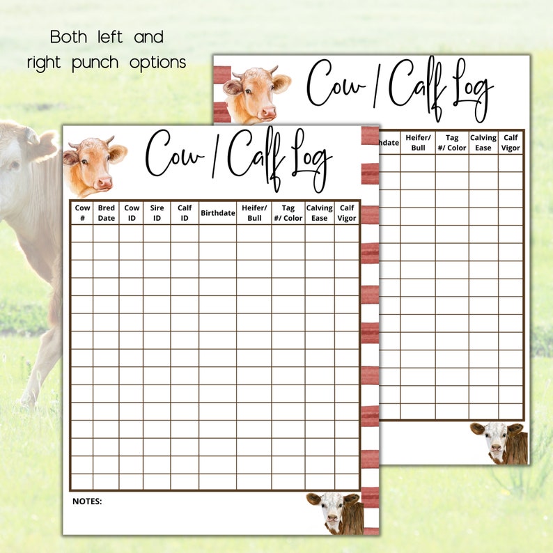 May include: Printable cow and calf log with a brown grid and a brown border. The log has columns for cow number, breed, date, cow ID, sire ID, calf ID, birthdate, heifer/bull, tag number/color, calving ease, and calf vigor. The log has a watercolor illustration of a brown cow at the top and a white cow at the bottom.