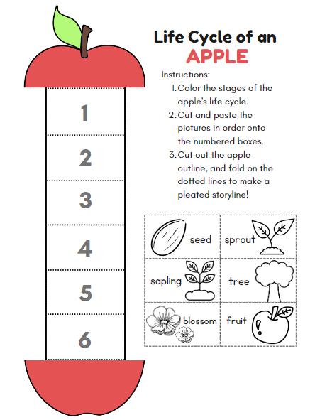 A is for Apple Preschool Learning Pack - Etsy