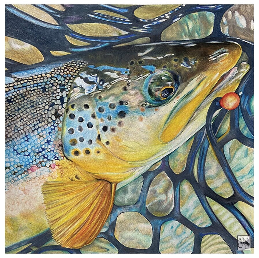 Brown Trout Painting -  Ireland
