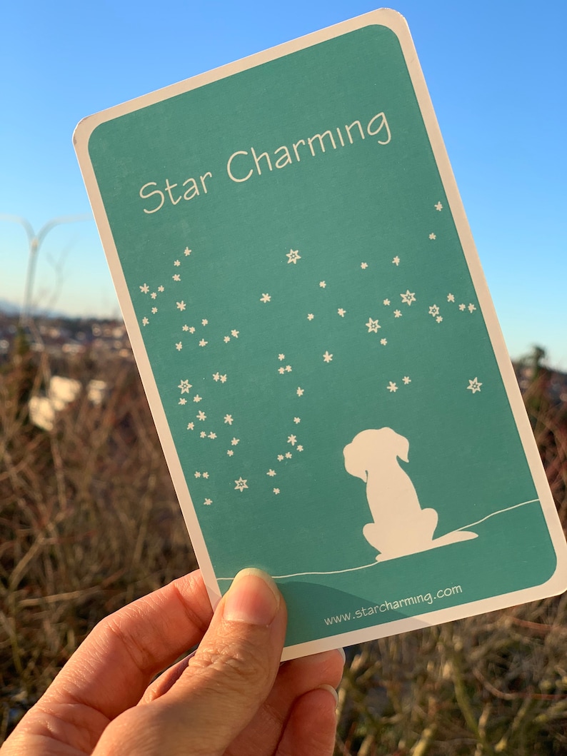 Leo dog charm and horoscope July 22 - August 22