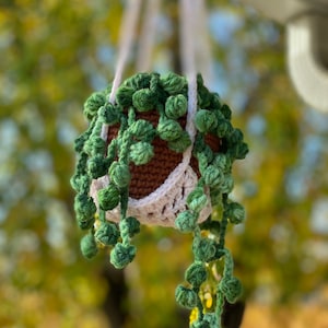 Crochet Faux Variegated String of Pearls