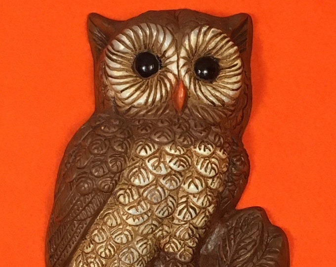 Vintage Plastic Owl Wall Hanging 1970s Retro Decor 928 Etsy
