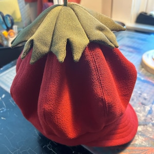 May include: Red fleece hat with a green felt leaf on top. The hat has a brim and is shaped like a strawberry.