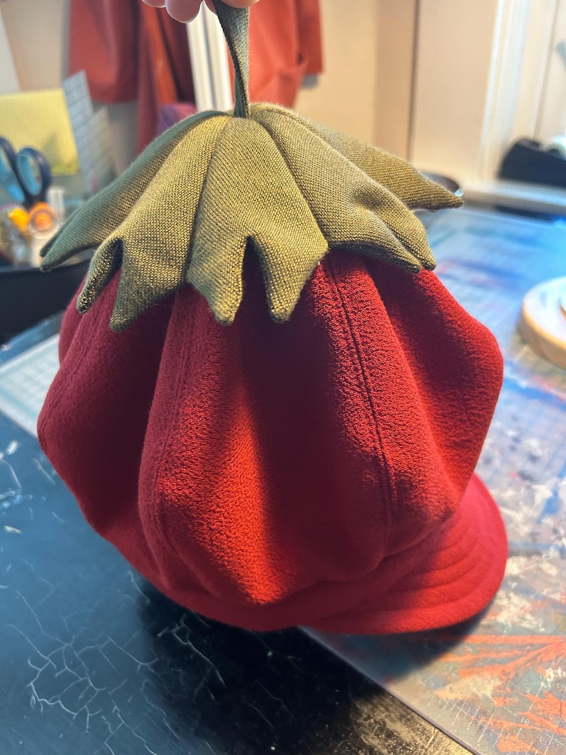 May include: Red fleece hat with a green felt leaf on top. The hat has a brim and is shaped like a strawberry.