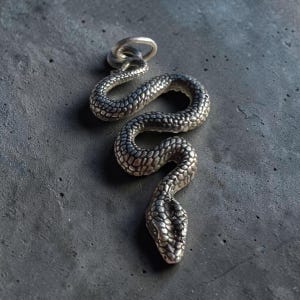May include: A silver-toned metal pendant shaped like a coiled snake with detailed scale textures across its body. The snake is depicted in a winding, S-shaped position with a circular bail at the top for attachment to a chain or cord necklace.