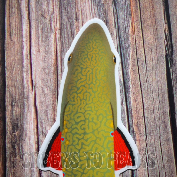 Brook Trout Sticker Decal (9 inch)