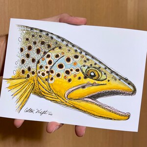 Brown Trout Fish Art Print 5x7
