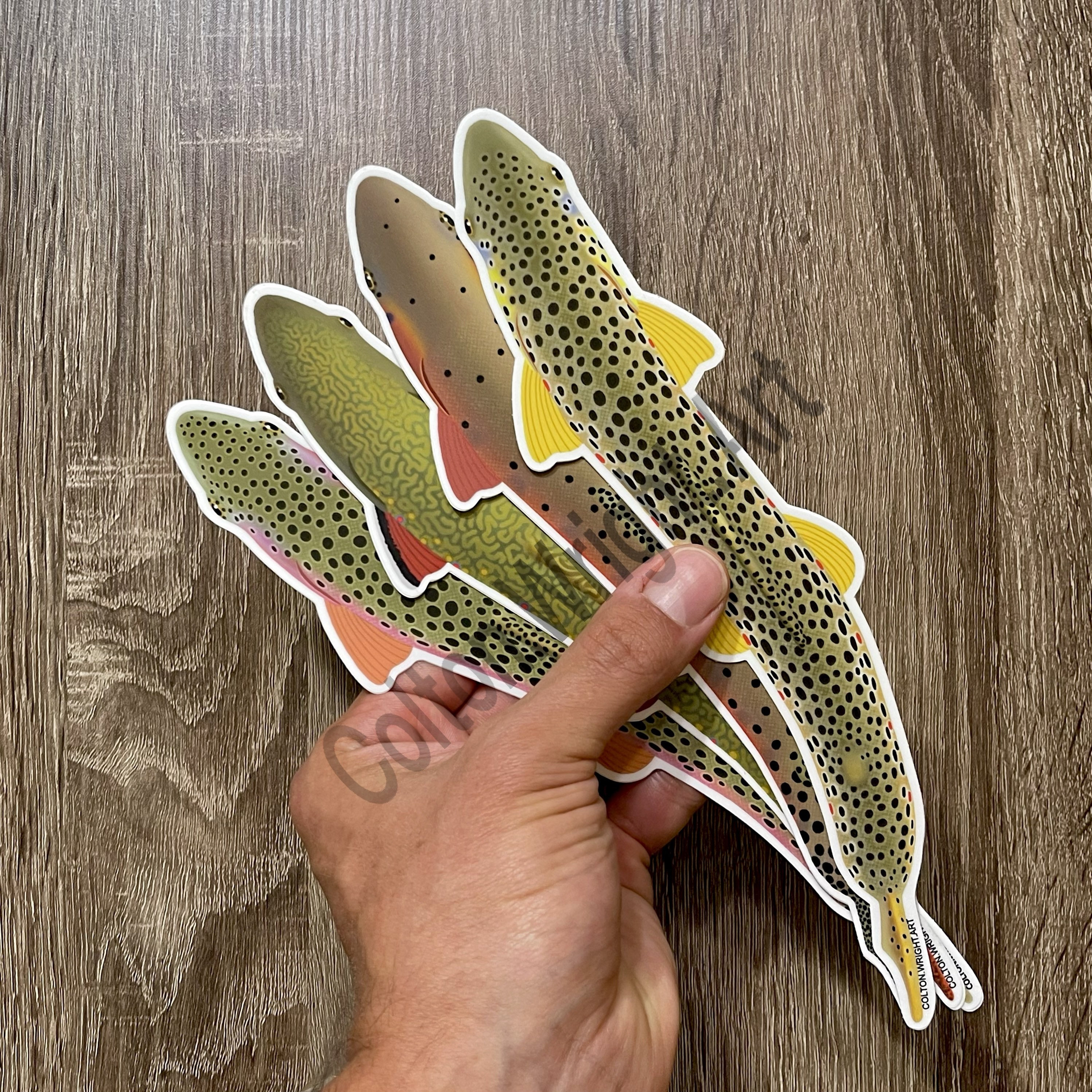 Brown Trout Sticker Decal 9 Inch Etsy