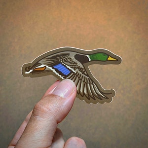 Mallard Duck Greenhead Decal Sticker