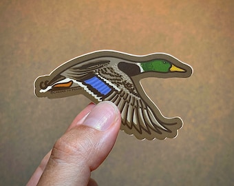 Mallard Duck Greenhead Decal Sticker