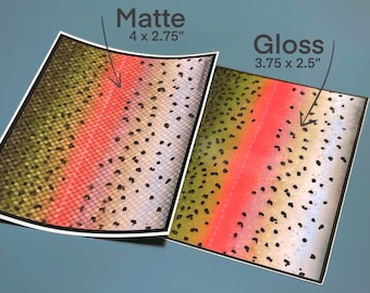 Flanco de patrón de trucha arco iris - Etiqueta engomada de la calcomanía
