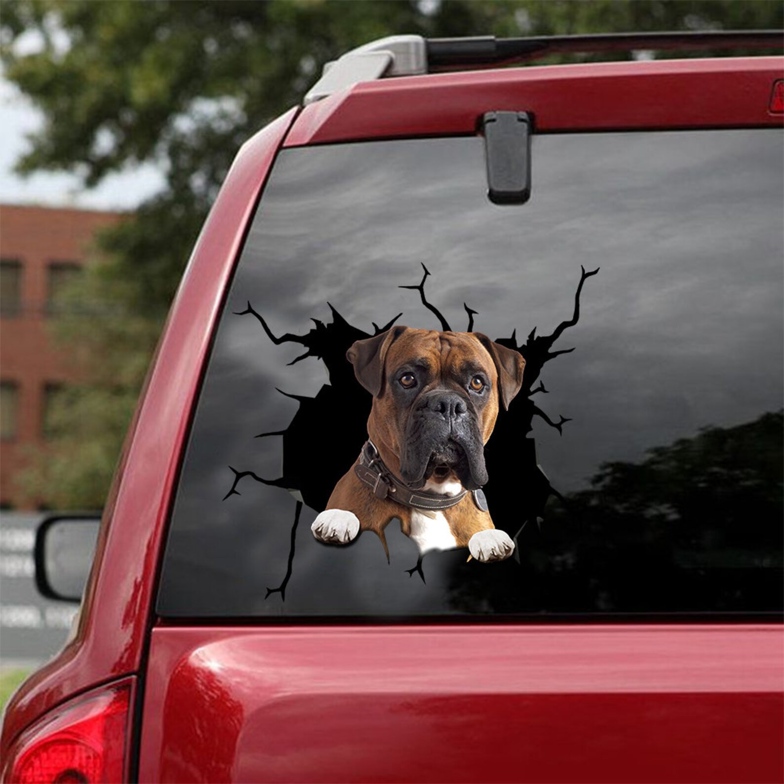 Boxer Decal fits cars windows laptops and any smooth Etsy