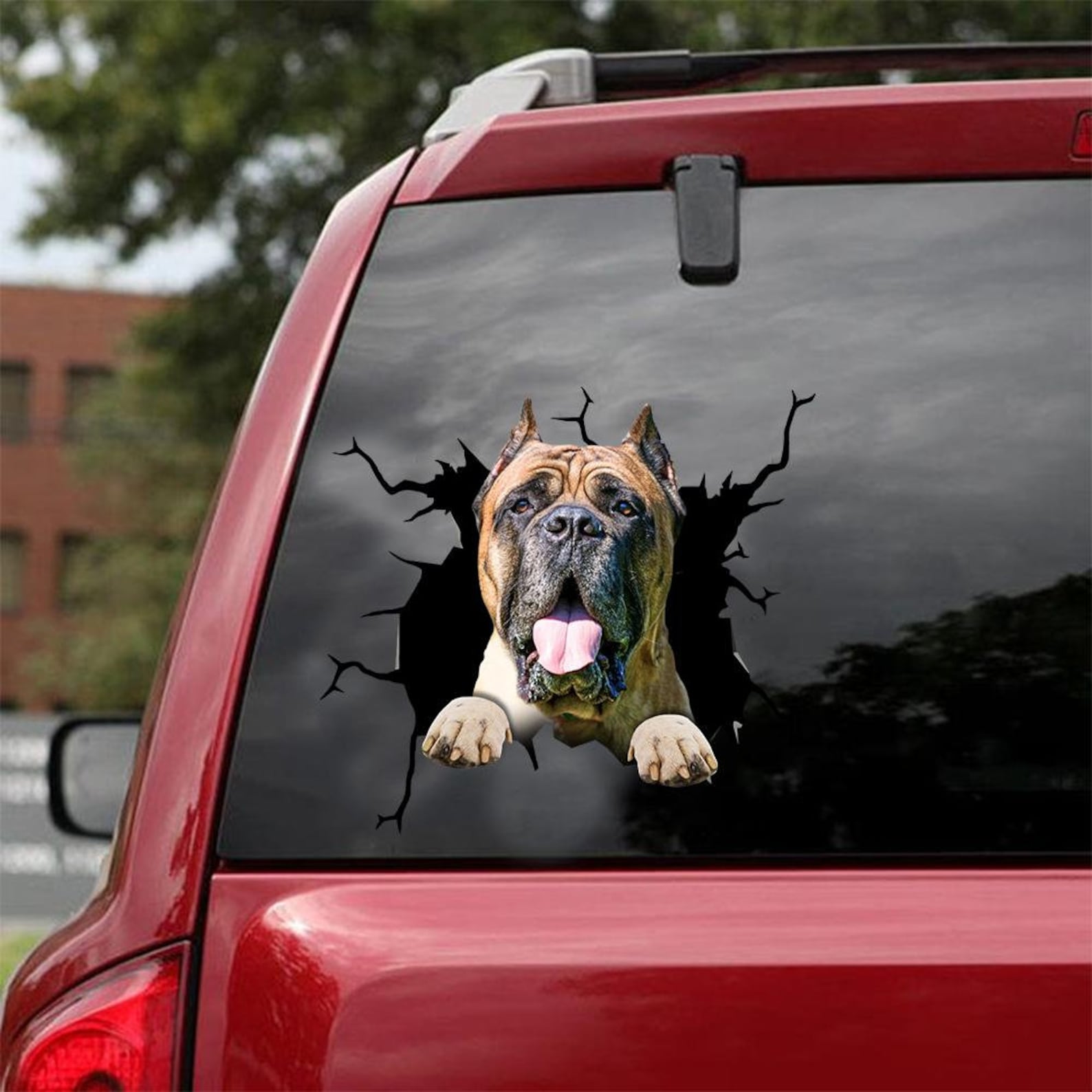 Cane Corso Decal Fits Cars Windows Laptops and Any Smooth Etsy
