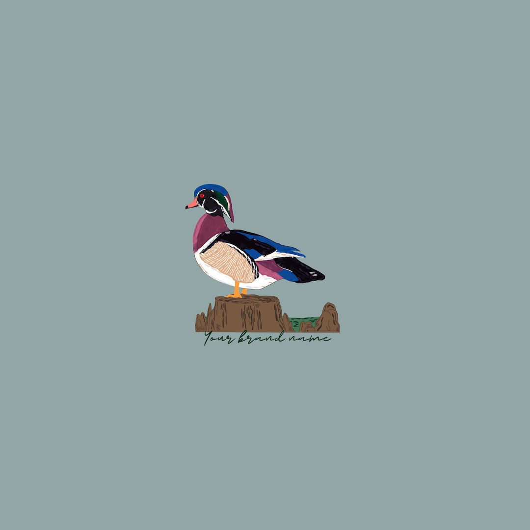 Hand Drawn Wood Duck Graphic: PNG, SVG Design (digital Download) - Etsy