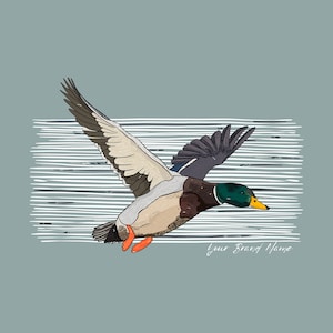 Mallard Duck Graphic, PNG, SVG, Design, Tshirt Design, Hand drawn design