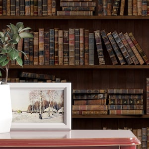 EXCLUSIVE - The Bookshelves wallpaper - Peel & Stick Wallpaper - Removable Self Adhesive and Traditional wallpaper #3263