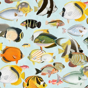 Wallpaper from an exotic collection with fish motifs - Peel & Stick - Removable Self Adhesive and traditional wallpaper #3210
