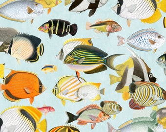 Wallpaper from an exotic collection with fish motifs - Peel & Stick - Removable Self Adhesive and traditional wallpaper #3210