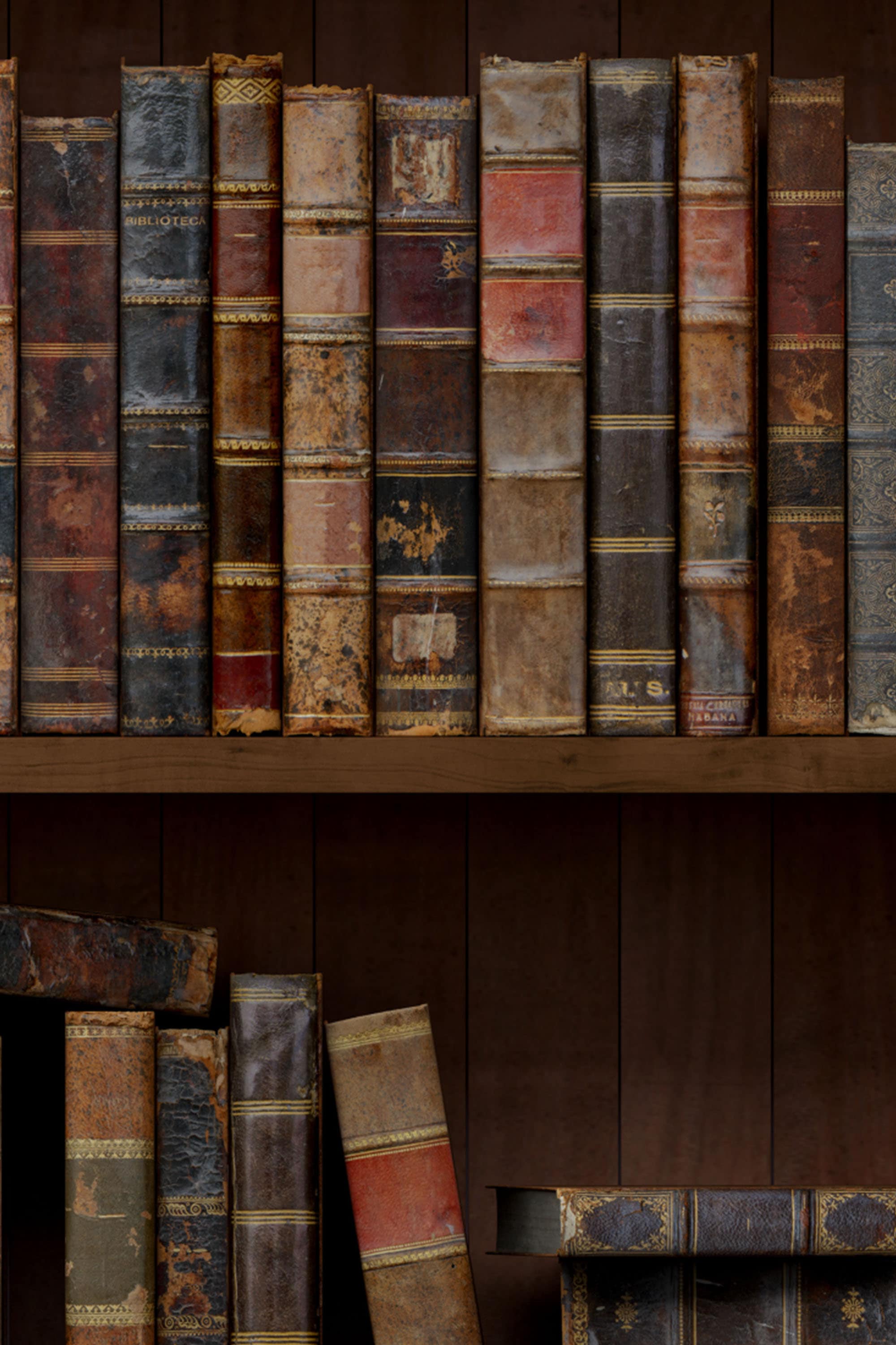 EXCLUSIVE the Bookshelves Wallpaper Peel & Stick Wallpaper Etsy Canada