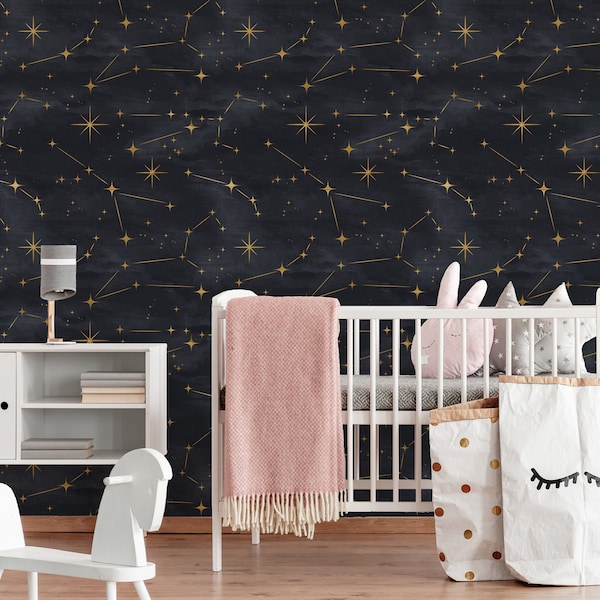 Constellation and Starry Night Space Removable Peel & Stick Wallpapers #3313