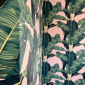 Palm leaves wallpaper on pink background, Peel and stick wall and Traditional wallpaper 3398