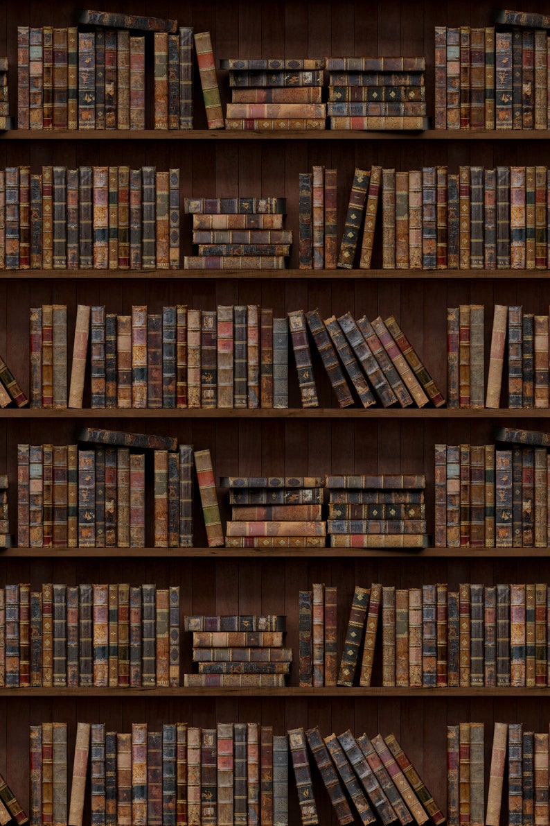 EXCLUSIVE the Bookshelves Wallpaper Peel & Stick Wallpaper Etsy Canada