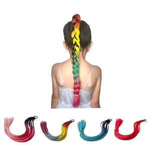 May include: A long, thick, rainbow-colored braided hair extension attached to a hair tie. The braid transitions from red at the top to orange, yellow, green, and pink at the bottom. Four additional braided hair extensions are shown in pink, yellow, blue, and red.