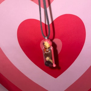 May include: A black cord necklace with a small glass bottle pendant. The bottle is filled with a dark liquid and contains a small, dried flower. The bottle is sealed with a red wax seal.