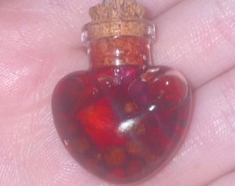 LOVE VILE (curio) spell necklace