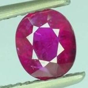 Op de afbeelding: Een gefacetteerde ovale robijn edelsteen, vastgehouden door een pincet. De edelsteen is dieprood met een stervormig patroon in het midden. De facetten van de robijn reflecteren licht, wat de helderheid en glans benadrukt. Close-up.