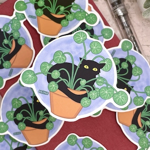 May include: A set of stickers featuring a black cat curled up in a pot of green plants. The stickers have a blue background with white text that says "Seona".