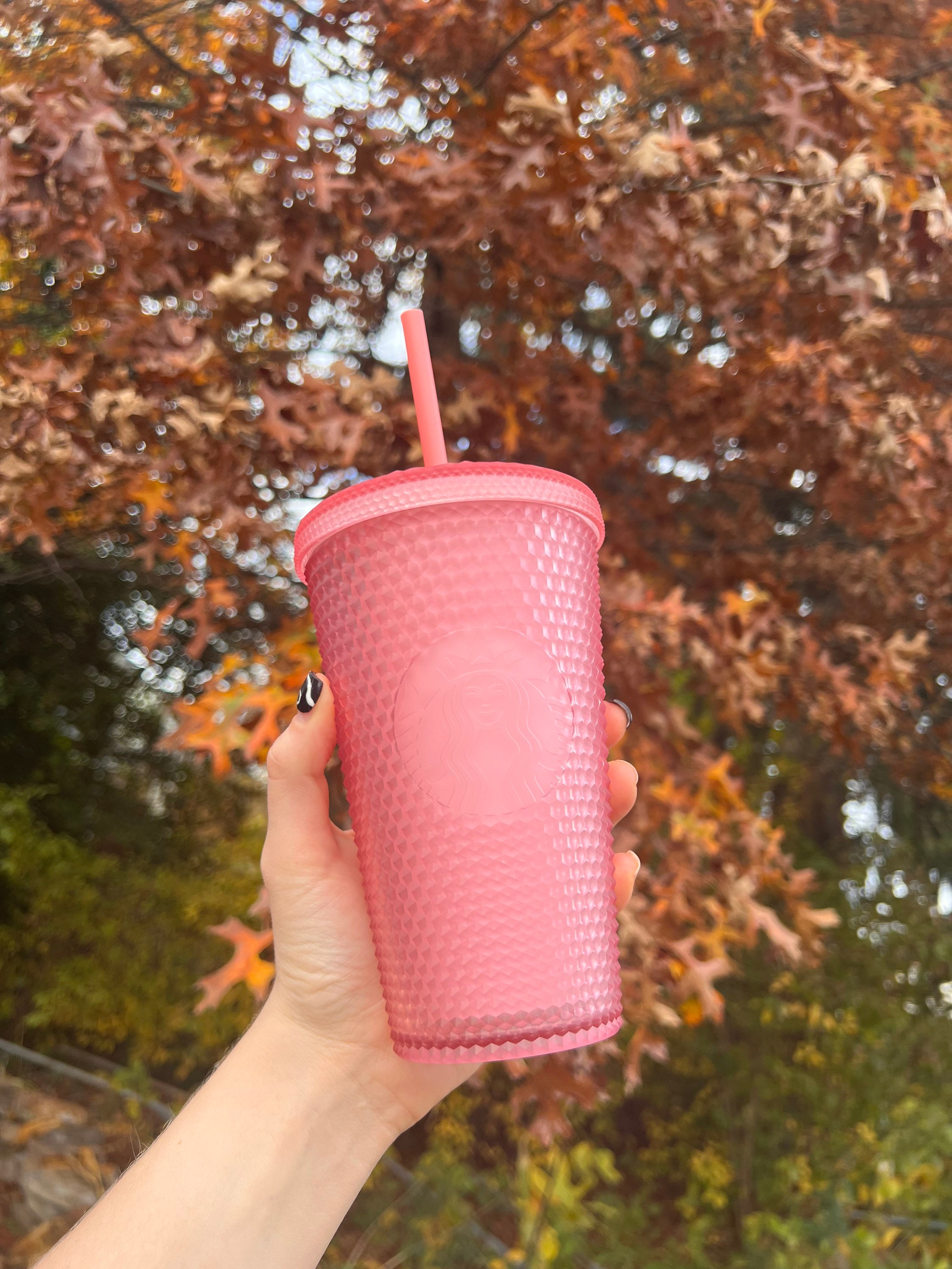  Starbucks Pink Jelly Tumbler with Pink Straw, 18oz : Everything  Else