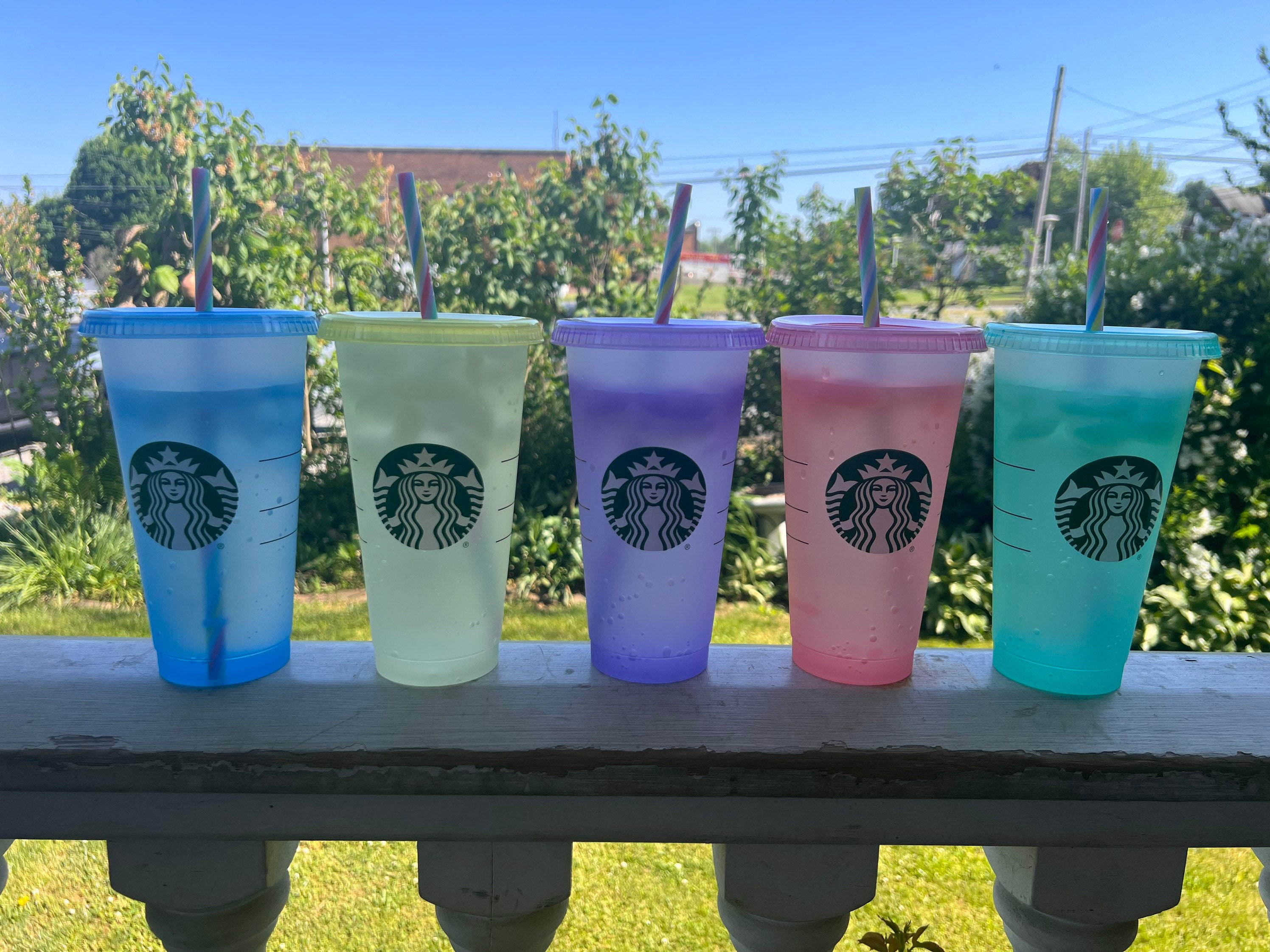 Starbucks Spring 2022 Color-changing Reusable 6 Hot Cups Set 16 oz (each)
