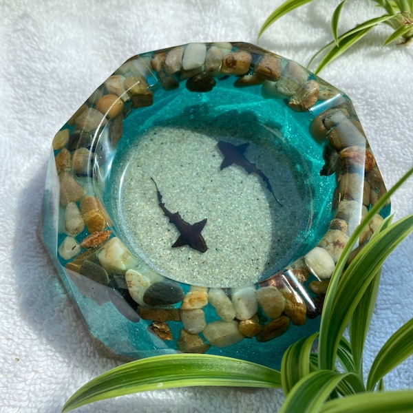 Shark Week * ash tray / jewelry holder *